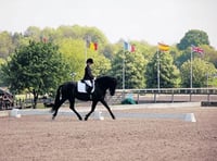 Dressage success with Spanish stallion