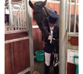 Seven wins for Alice at Hartpury