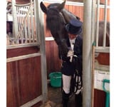 Seven wins for Alice at Hartpury