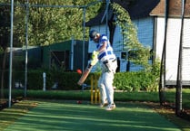 Ellie tries.........Cricket