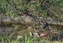 Ross’ litter problem