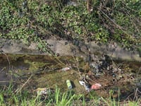 Ross’ litter problem