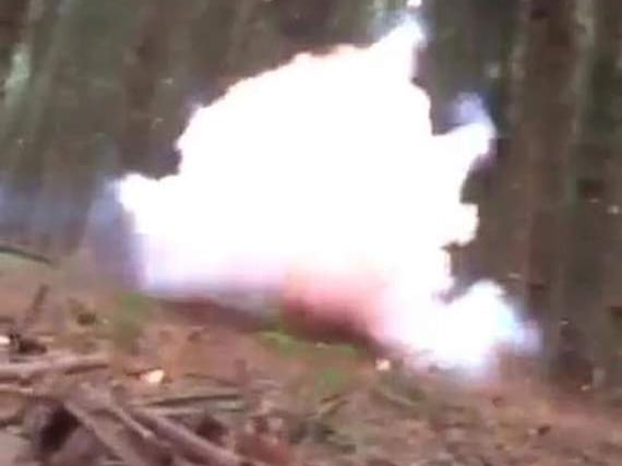 Youths light fireworks in wood