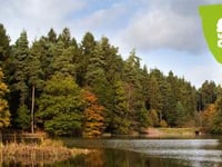 A change of name for the Forest of Dean?