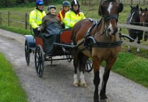 Betty’s 99th birthday dream come true