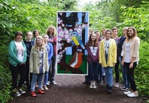 Windows made by Forest students give RSPB reserve a natural lightshow