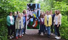 Windows made by Forest students give RSPB reserve a natural lightshow