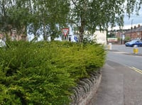 Volunteers gather to tidy an area of local concern