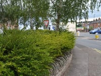 Volunteers gather to tidy an area of local concern