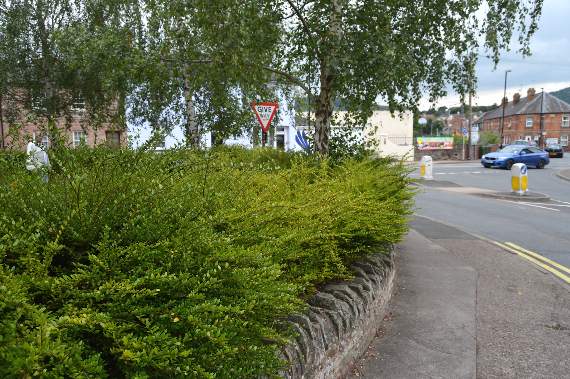 Volunteers gather to tidy an area of local concern
