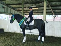 First place at British Dressage Area Festival for Alice and Des