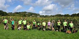 Forest of Dean Canicross runners beat the maize