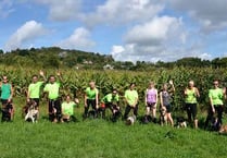 Forest of Dean Canicross runners beat the maize