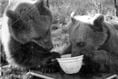 Lydbrook’s television appearance remembered