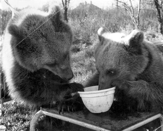 Lydbrook’s television appearance remembered