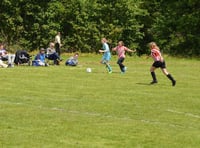 Crackdown on dog fouling at Ross-on-Wye Sports Club