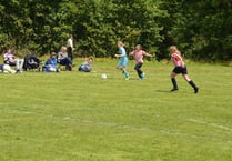 Crackdown on dog fouling at Ross-on-Wye Sports Club