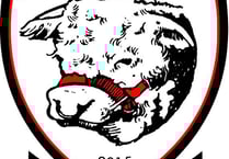 Hereford FC maintain winning streak