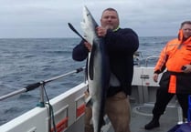 Ross-on-Wye anglers hook a shark