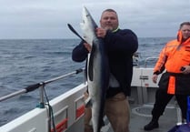 Ross-on-Wye anglers hook a shark