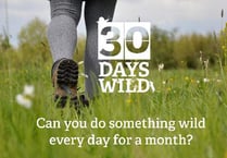 Go wild for 30 days with the Wildlife Trust
