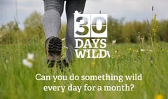 Go wild for 30 days with the Wildlife Trust