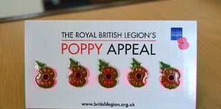 Ross is looking for poppy volunteers