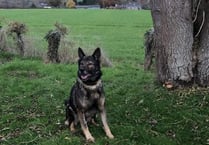 New home for Quest needed