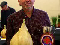 Onion fever is set to hit Newent