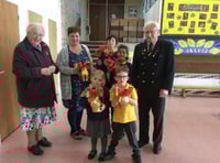 Poppies for Remembrance at Primary School near Ross