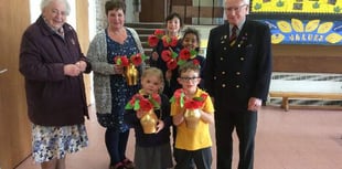 Poppies for Remembrance at Primary School near Ross