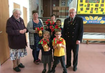Poppies for Remembrance at Primary School near Ross