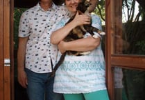 New foster carers for Cats Protection