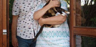 New foster carers for Cats Protection