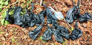 Dog mess disgrace at churchyard