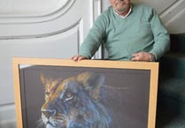 Focus on felines win international award