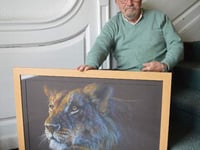 Focus on felines win international award