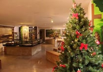Experience the magic of the season