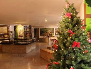 Experience the magic of the season
