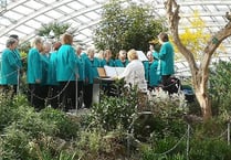 Unusual location for concert