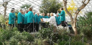 Unusual location for concert
