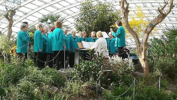 Unusual location for concert