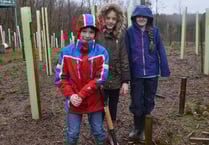 Local students contribute to community tree planting