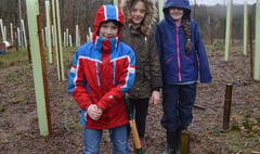 Local students contribute to community tree planting