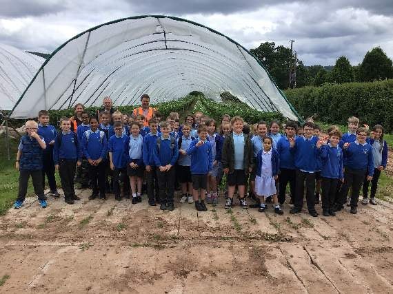 Ashfield pupils enjoy strawberry farm tour