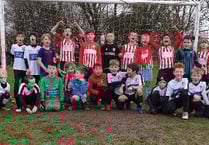 Ross youngsters show great team spirit in defeat
