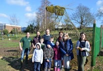 Walford pupils complete dragon construction
