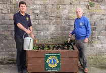 Ross-in-Bloom to return