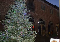 Christmas tree collection