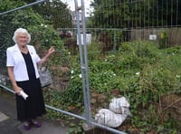 Resident hopes Town Council will tackle repairs in Ross-on-Wye